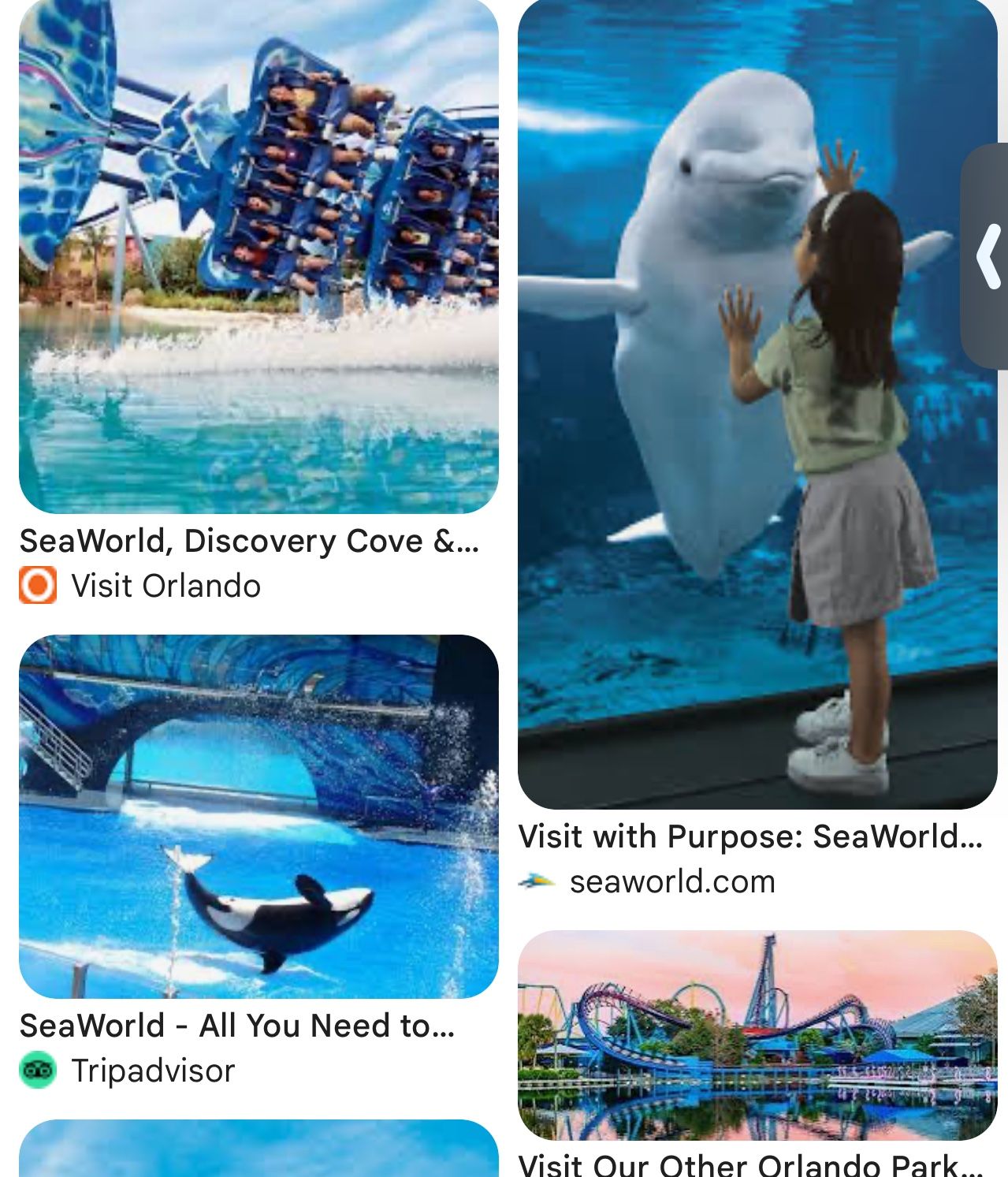 Sea World, Busch Gardens, Aquatica, Etc. $40 No Scam! I’m Local