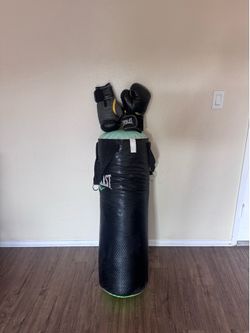 Everlast punching bag