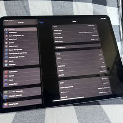 iPad Pro (5th Generation) 5G 256GB
