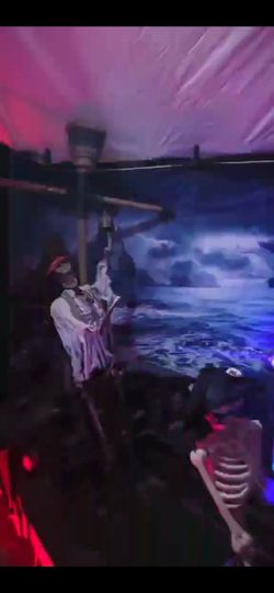Shipwreck Pirate Skellys