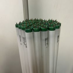 Philips 4ft Fluorescent Tube Light Bulbs