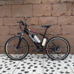 Electric Bicycle 