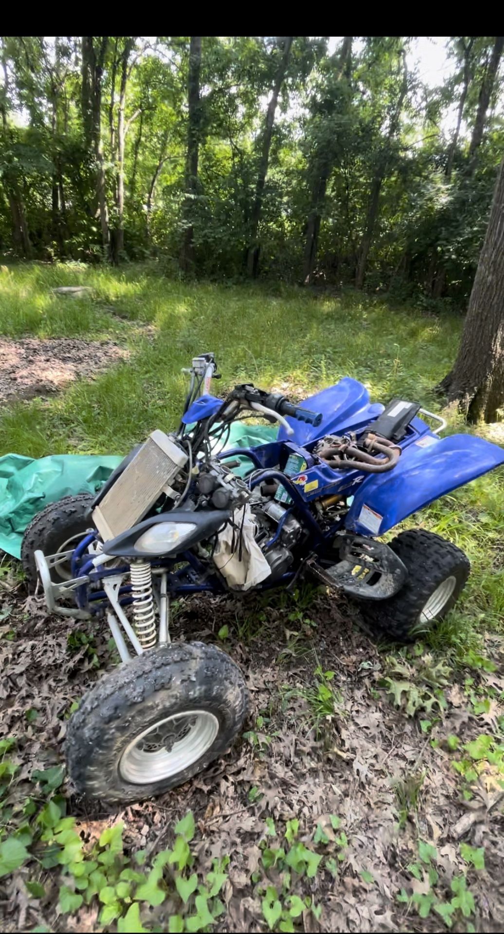 Raptor 660r