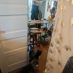 Wall Mirror