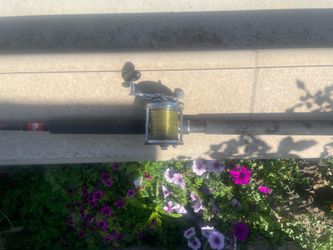 Penn 500 on a Fenwick rod