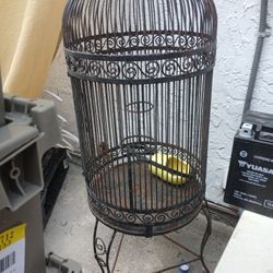 Bird Cage