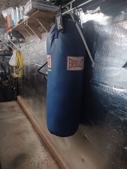 Everlast Punching Bag