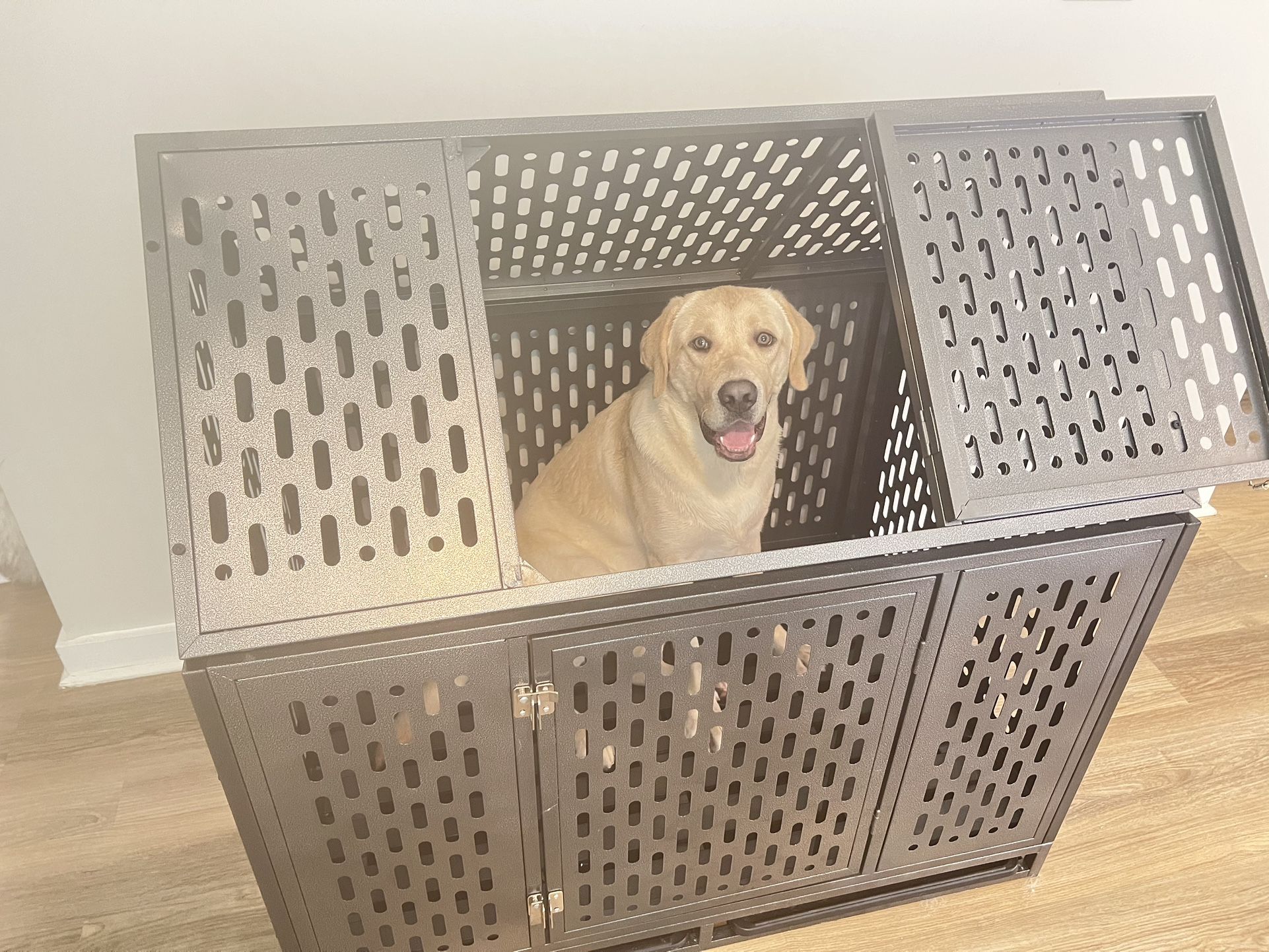 Dog crate: Heavy duty