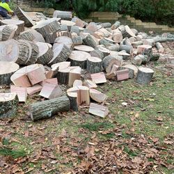 Fire Wood For Low Price