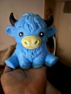 Highland  Cows