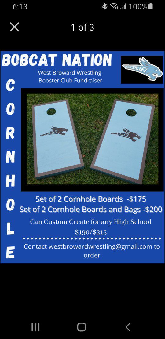 Corhole Board Set