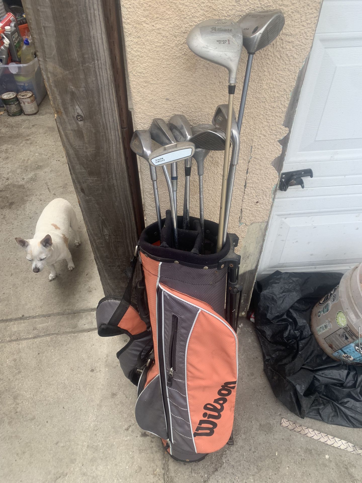Wilson Golf Bag and clubs 