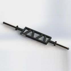 Poliquin Angled Dual Grip Bar