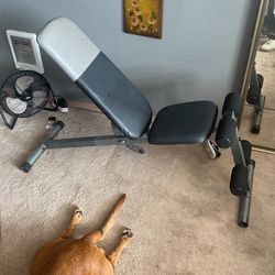 Incline Bench 