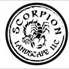 Scorpion Landscape 