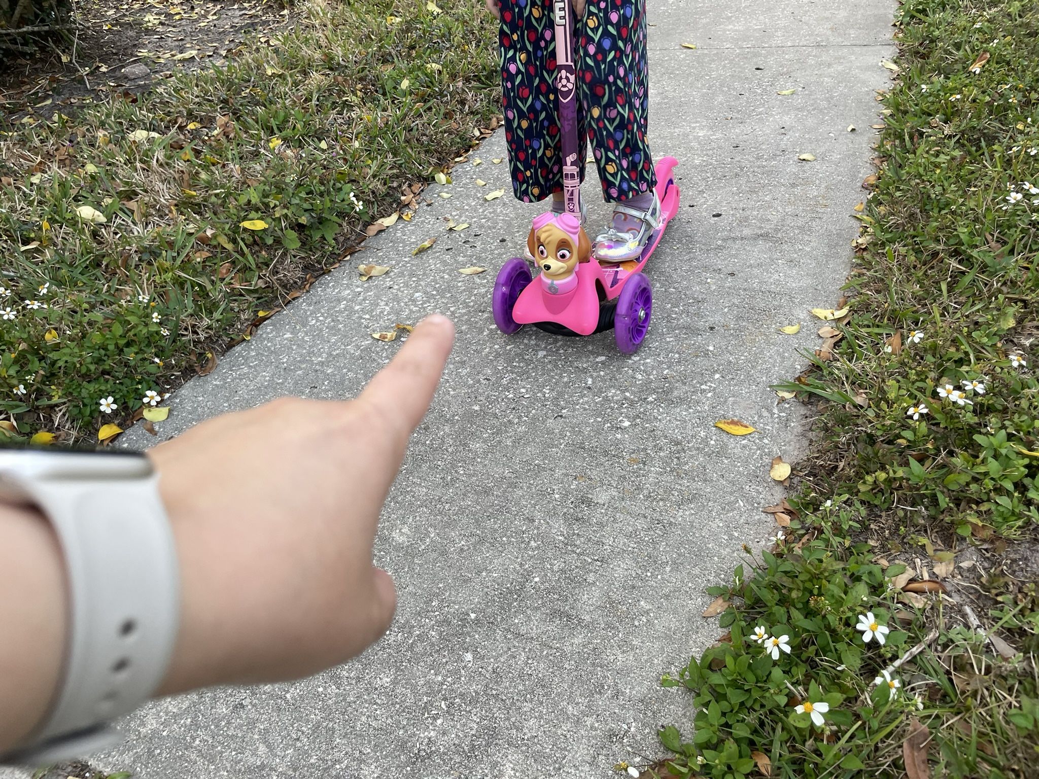 Paw Patrol Scooter