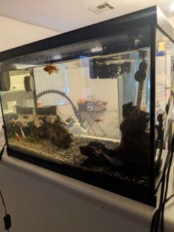 Fish tank