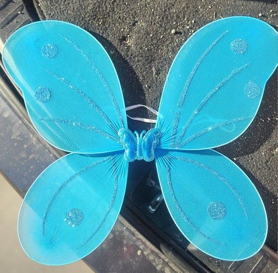 Blue Butterfly Wing