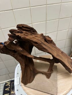 Large peace of driftwood with hard bottom great condition for fish tank
