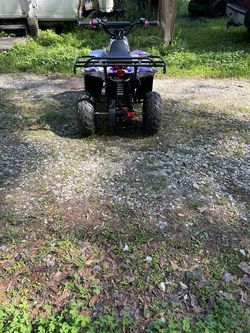2024 110 cc four wheelers