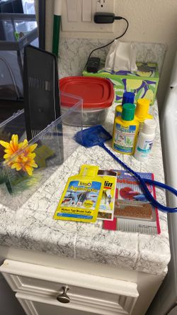 Beta Fish Set Up