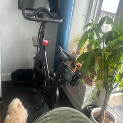 Peloton Bike With Mat, Weights, Shoes