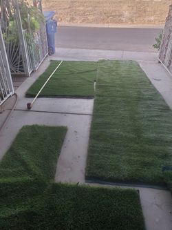 Artificial Grass 