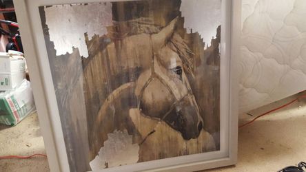Horse picture