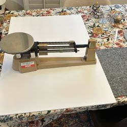 American.  Scale  (nearby New)