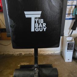 Nordic Back Extension Machine V1
