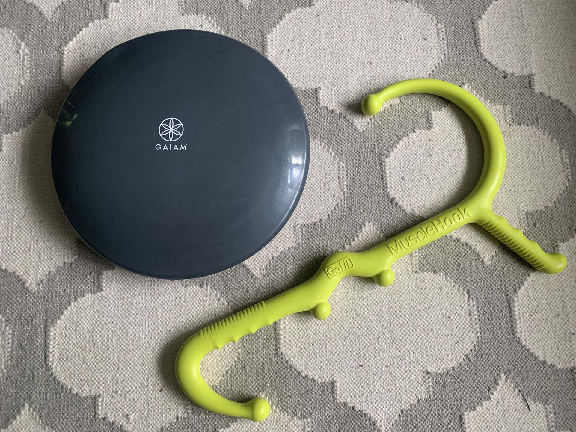 Exercise Equipment: Gaiam Balance Disc And Go Fit Muscle Hook