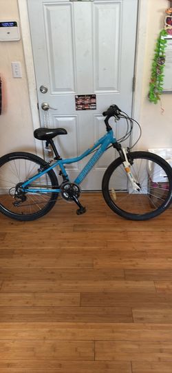 Diamondback Mountain Bike