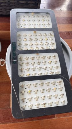 Lamps For Indoor Plants 