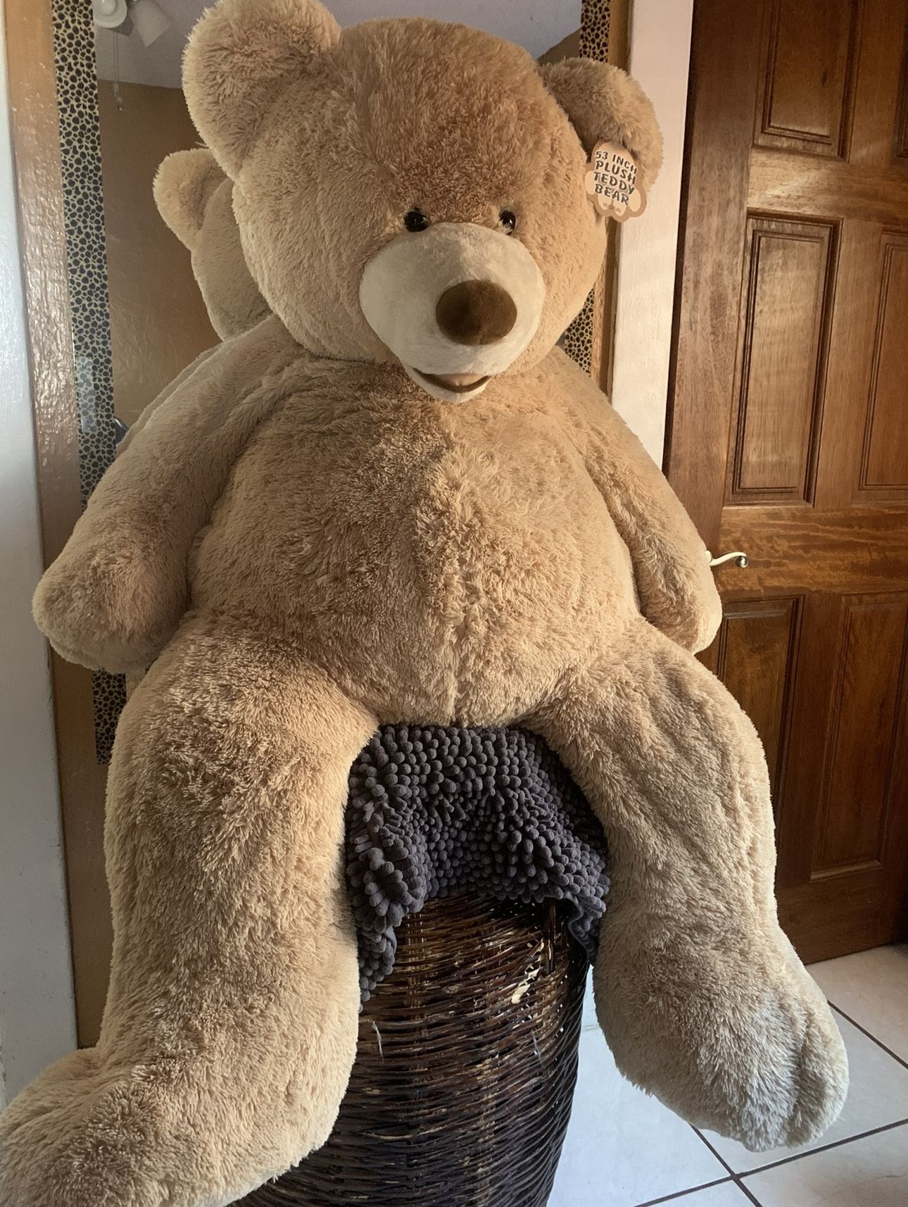 Teddy Bear