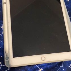 iPad With Apple Pen