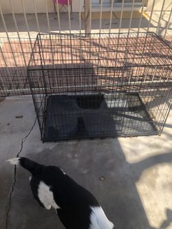 Large dog cage! Make offer- foldable!