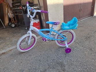 Frozen Bike