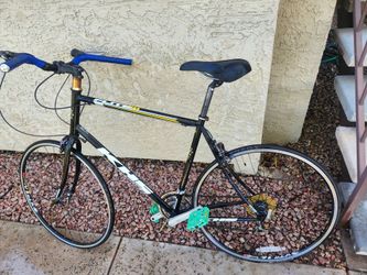 Adult Bicycle