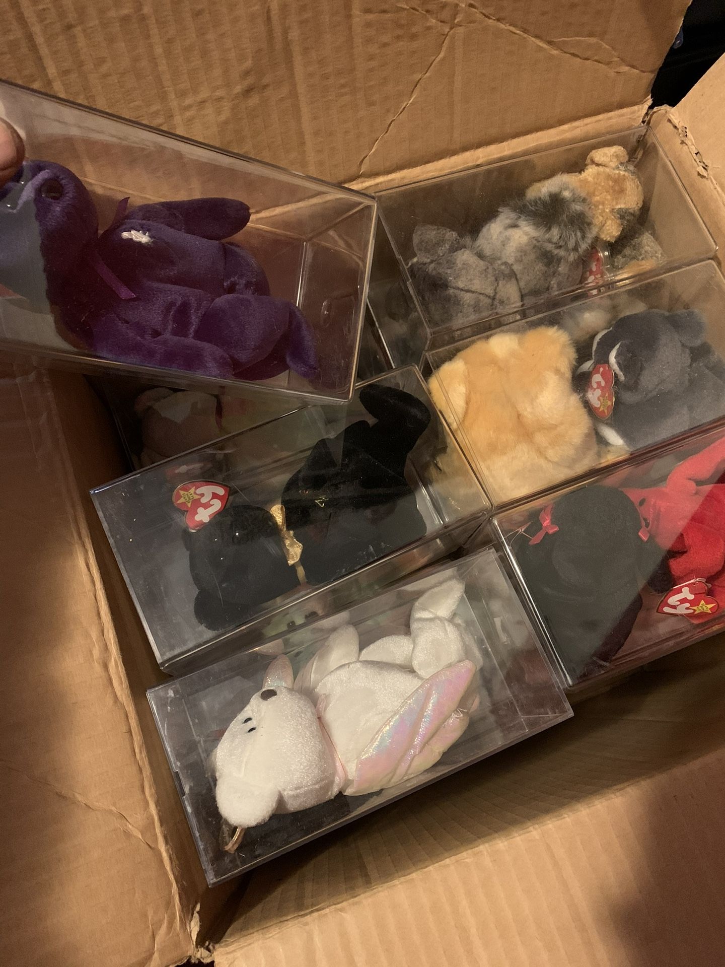 Rare Beanie Babyies