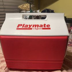 Igloo Cooler 