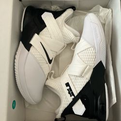 LeBron Soldier Shoes
