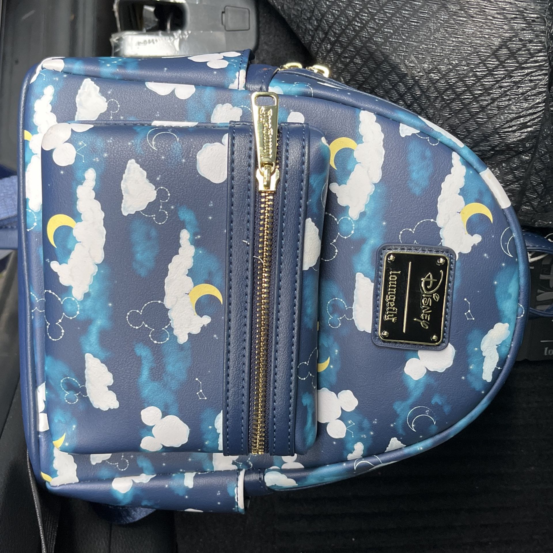 Disney Lounged Backpack