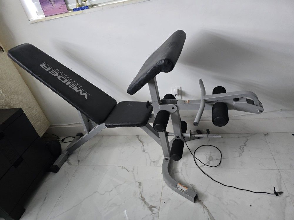 Bench Weight Gym Machine Wainer Platinum