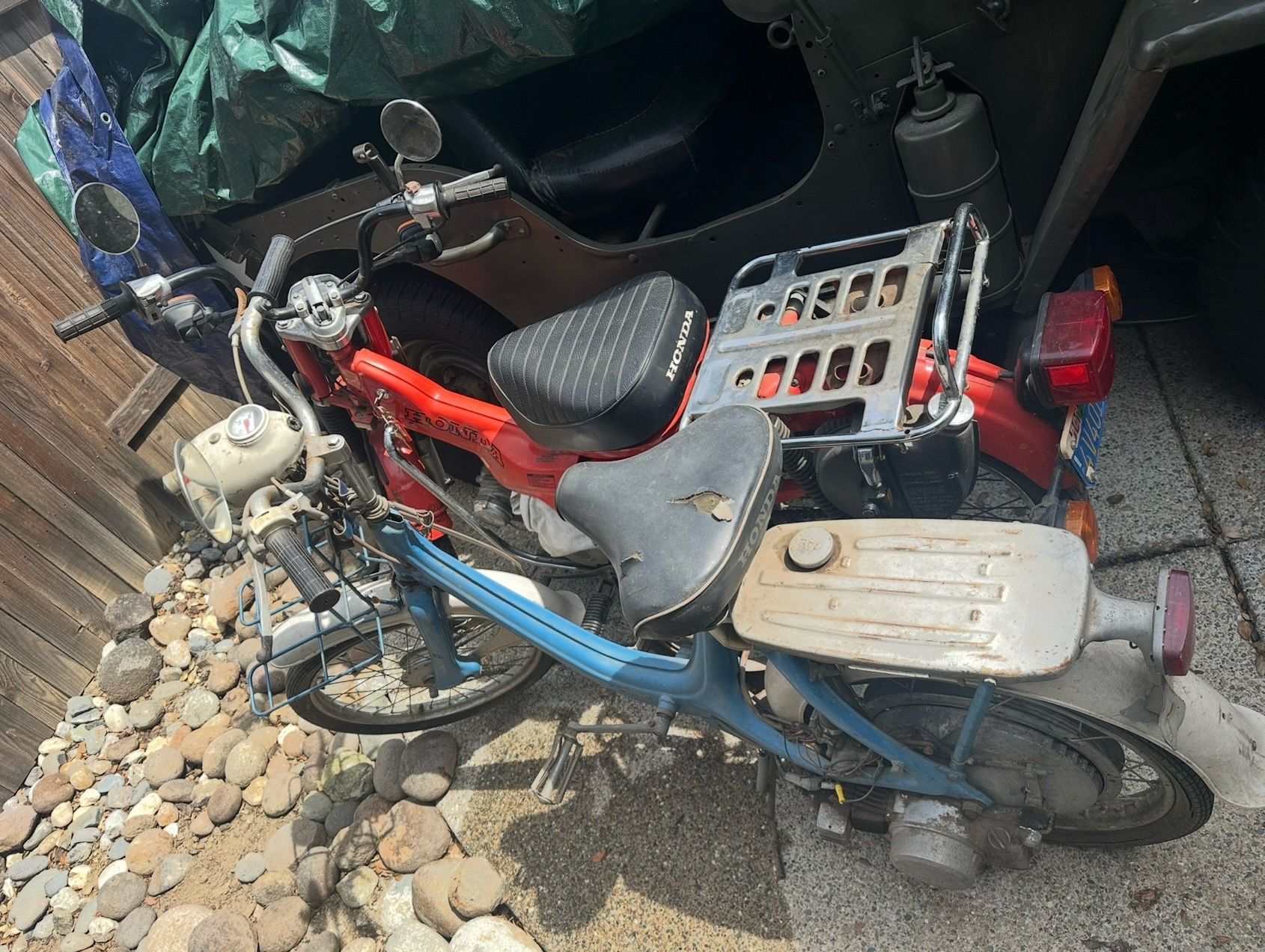 Honda bikes