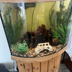 Fish Tank 
