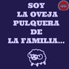 De todo un poco