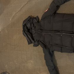 Canada goose