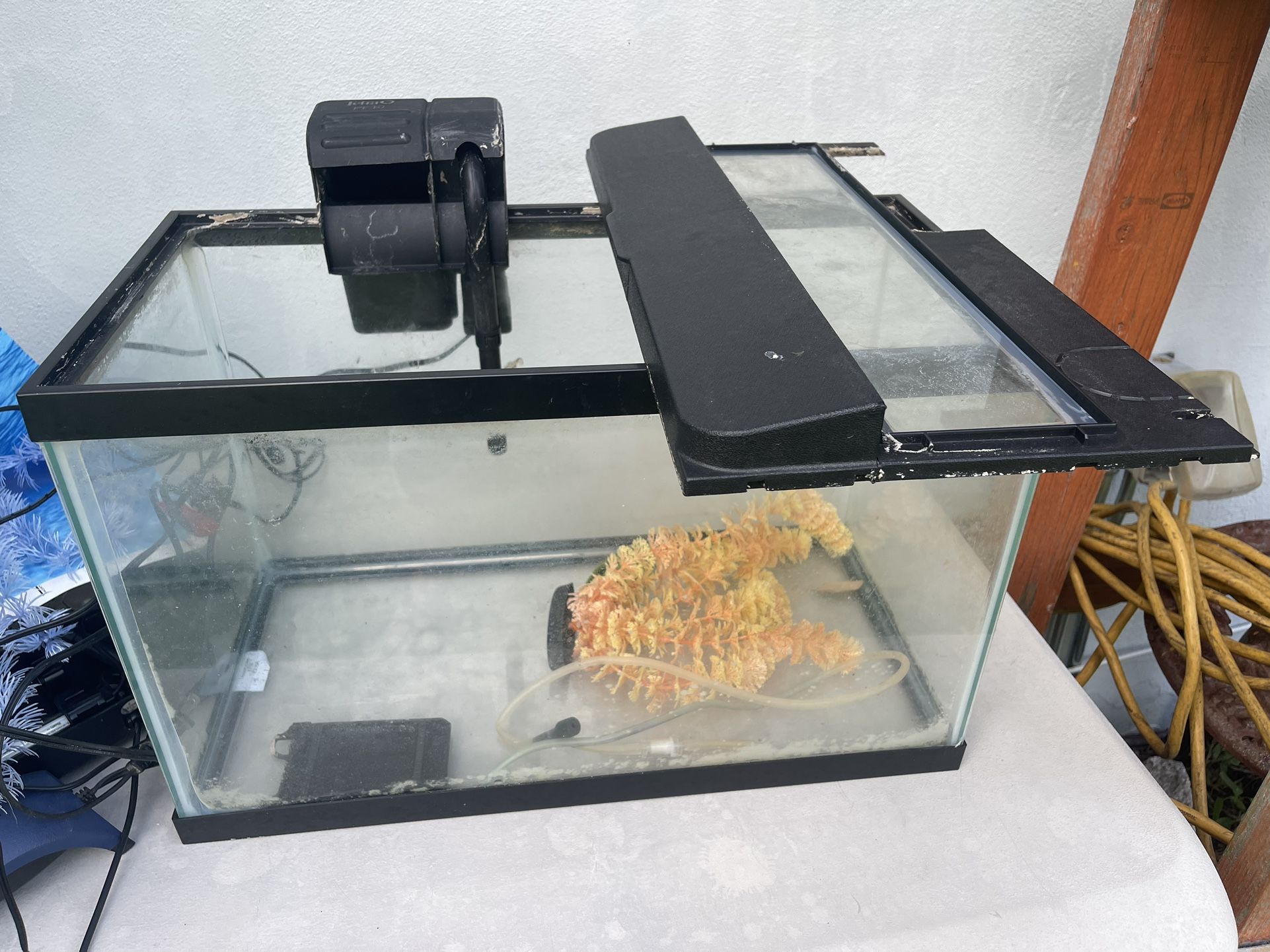 10 Gallon Aquarium Kit With Plants And Decorations