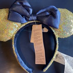 DISNEY COLLECTION EARS