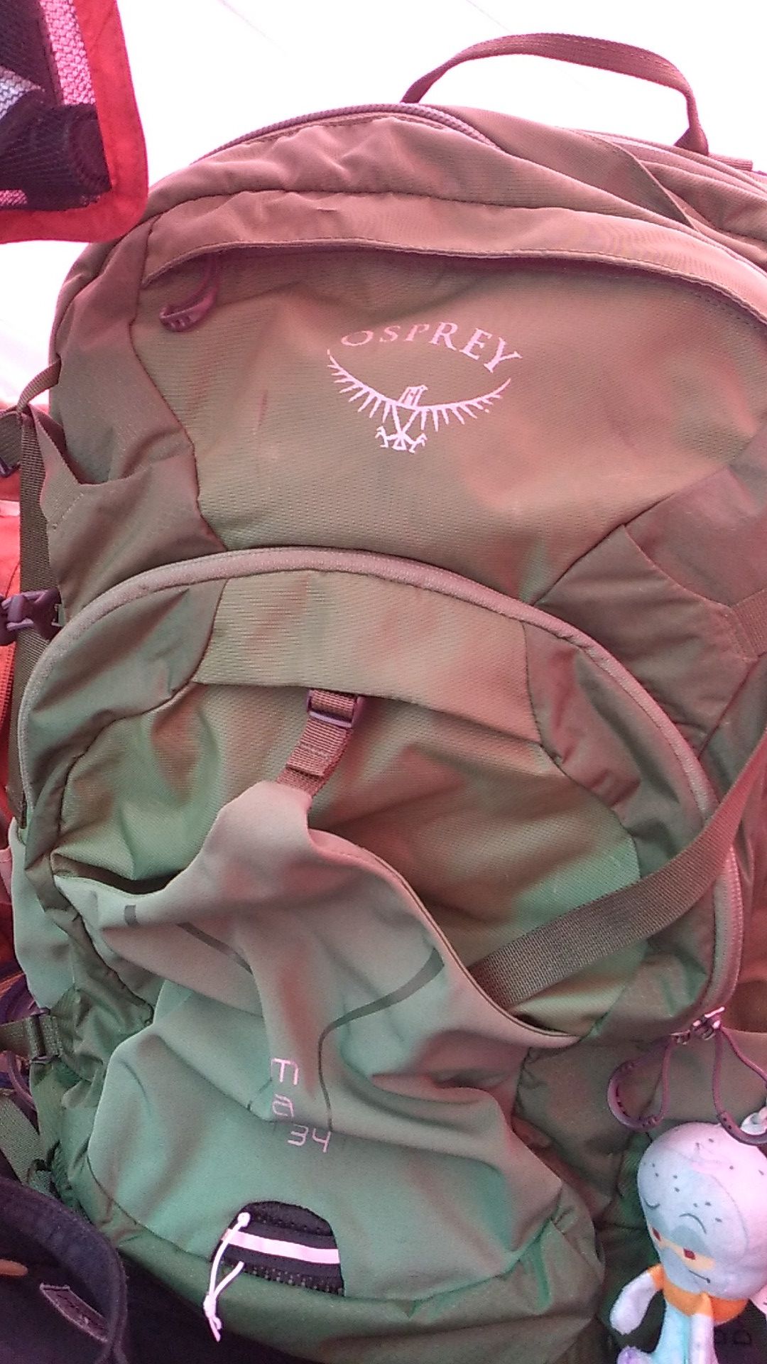 Osprey hiking backpack